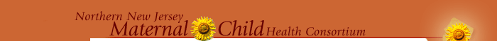 Northern New Jersey Maternal Child Health Consortium