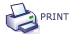 Print Icon